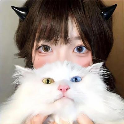 黑猫